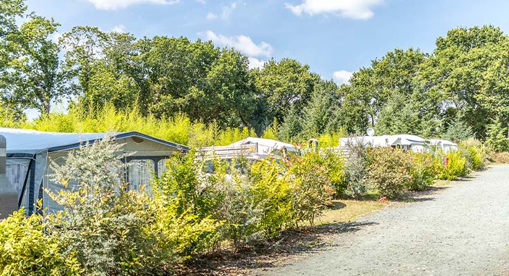 Allée des emplacements privatifs au camping Le Port de Plaisance