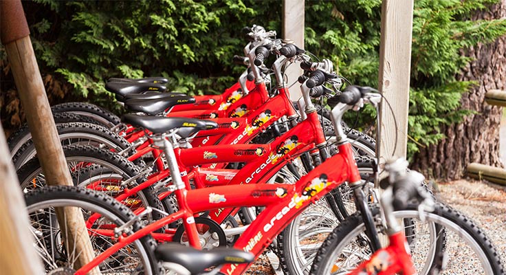 Service de location de vélos au camping Le Port de Plaisance à Bénodet en Bretagne