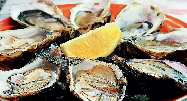 Plat d'huitres à Quimper en Bretagne